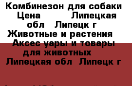 Комбинезон для собаки › Цена ­ 200 - Липецкая обл., Липецк г. Животные и растения » Аксесcуары и товары для животных   . Липецкая обл.,Липецк г.